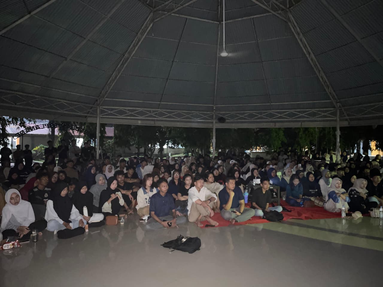 BEM FISIP Unri Gelar Nobar dan Diskusi Film Pesta Babi, Bahas Isu Papua dan PSN