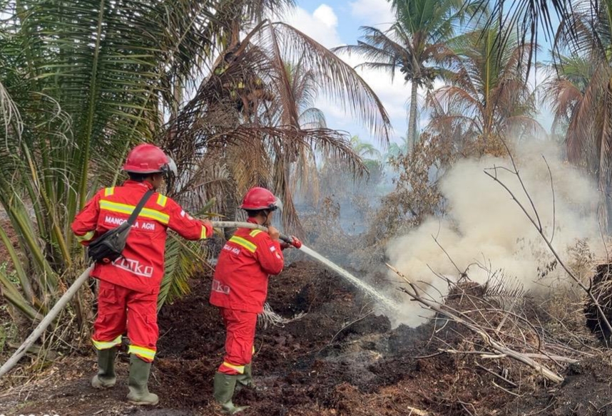 Demi Api Segera Padam, Manggala Agni Pilih Bermalam Dekat Lokasi Karhutla di Rokan Hilir dan Siak