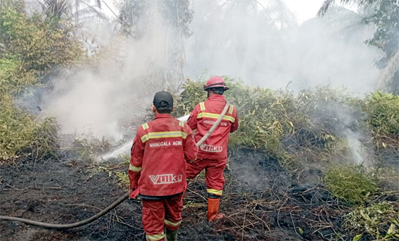 Tim Manggala Agni Lakukan Pendinginan Lanjutan Karhutla di Dua Wilayah Riau