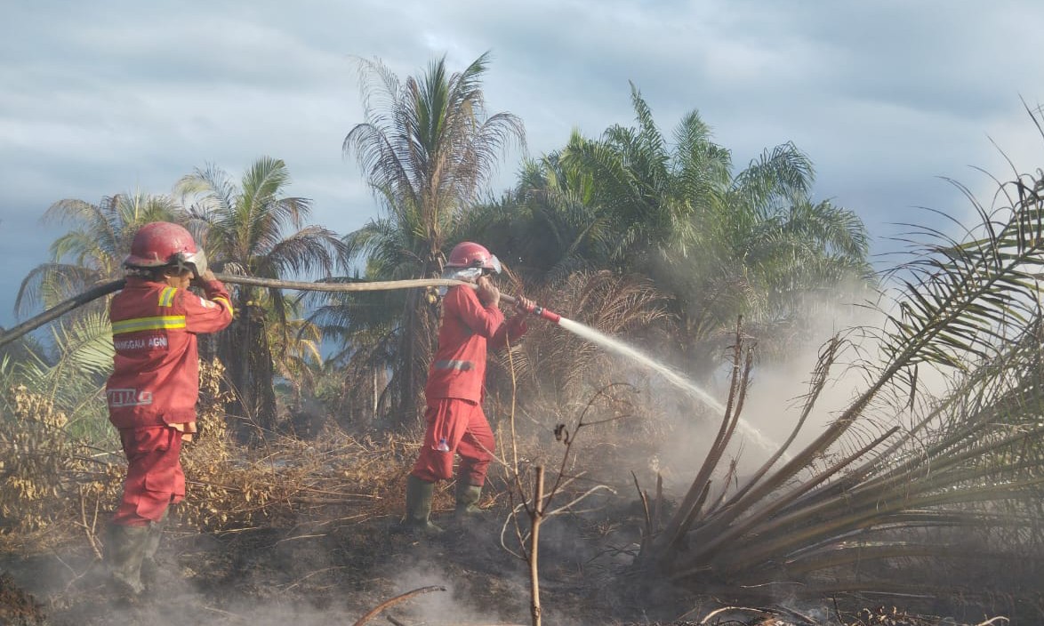 Manggala Agni Hadapi Tiga Karakter Berbeda Karhutla di Siak, Rohil, dan Pelalawan