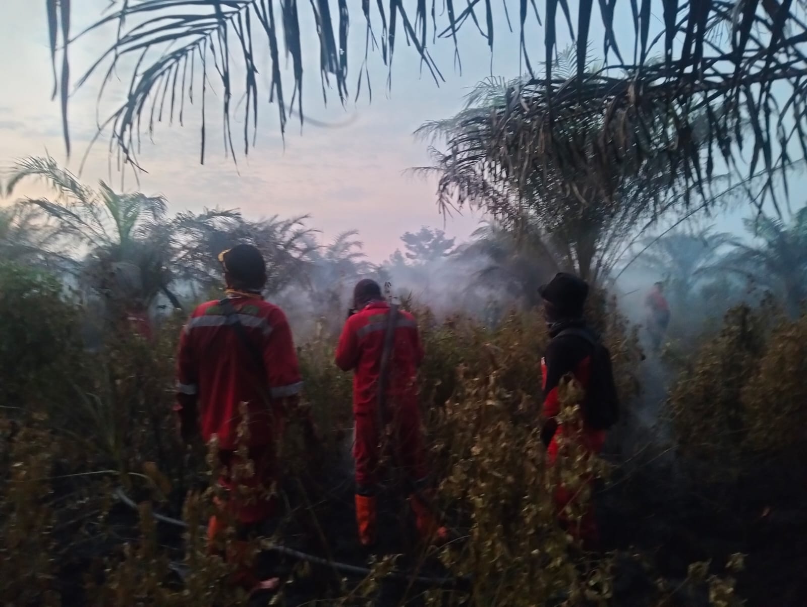 Karhutla Satu Hektare di Air Hitam, Tim Gabungan Lakukan Pemadaman