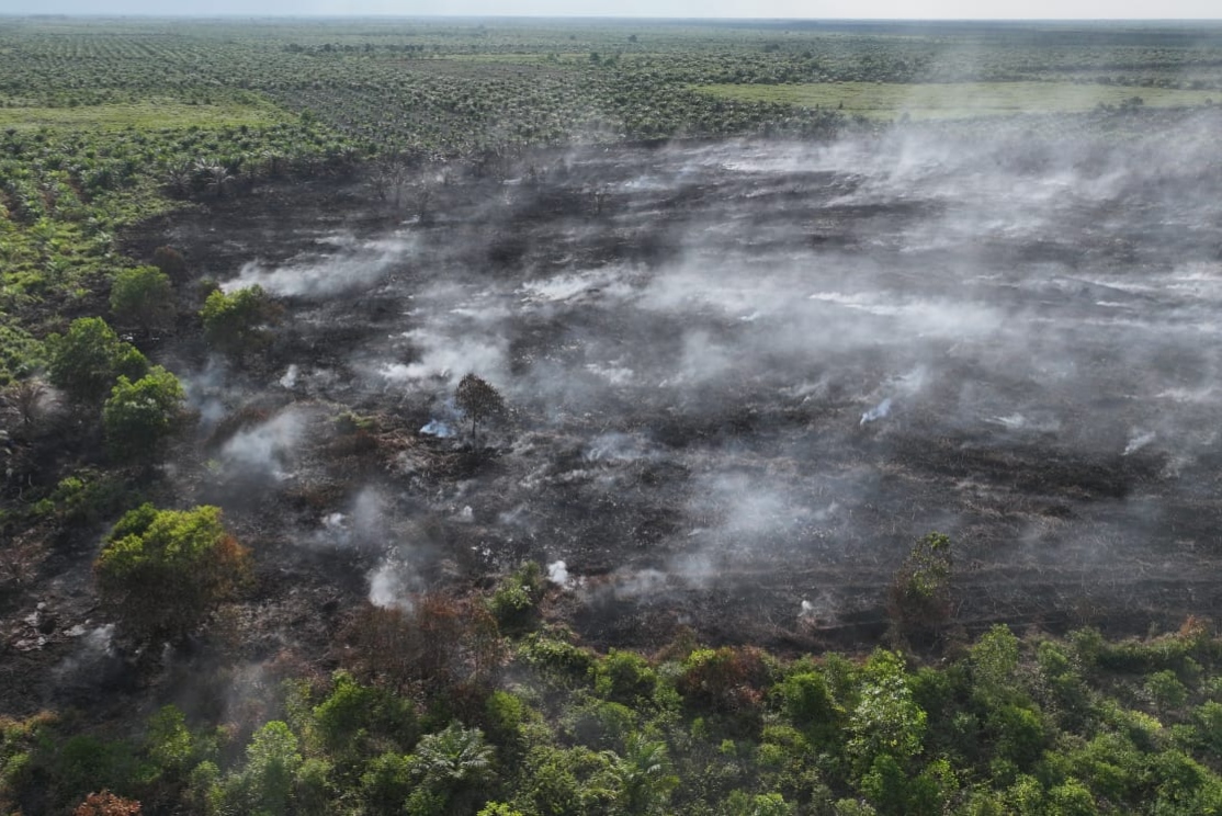 Kebakaran Lahan Gambut di Rohil Terkendali, Tim Gabungan Lanjutkan Pendinginan untuk Cegah Api Kembali