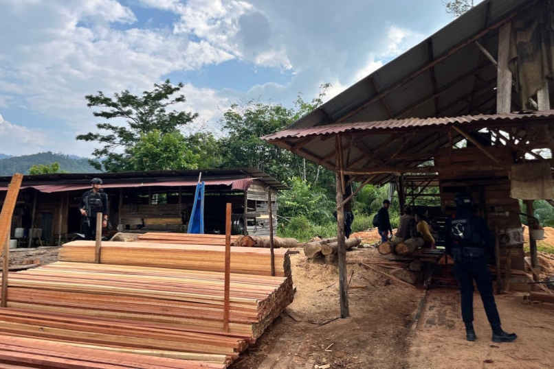 Polda Riau Bongkar Sawmill Ilegal di Kampar, Ratusan Kayu Disita dan Satu Tersangka Ditahan