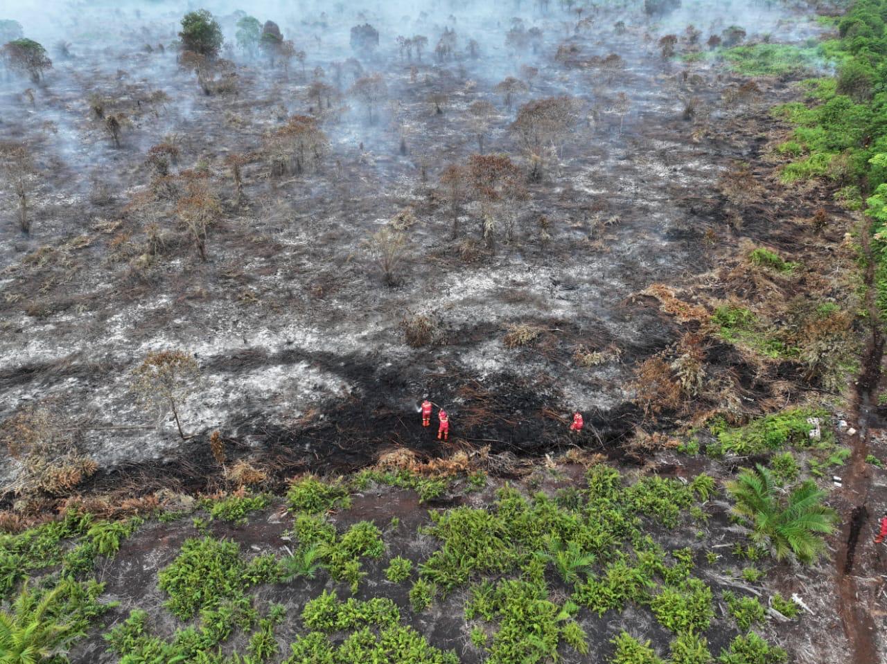 Ratusan Personel Gabungan dan Tiga Helikopter Berhasil Kendalikan Karhutla Seluas 80 Hektare di Bengkalis