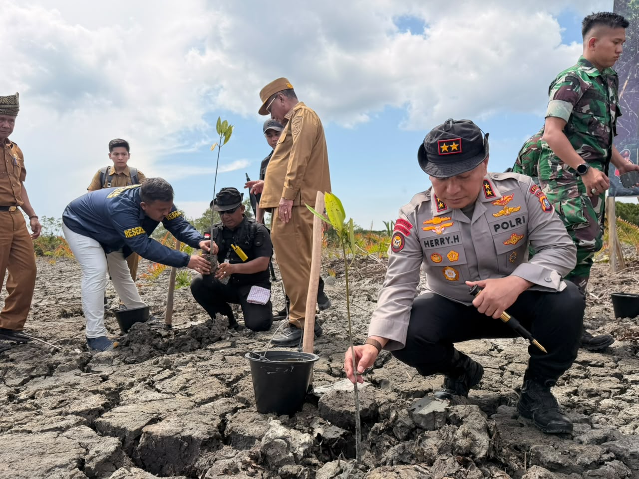 Polda Riau Pulihkan 118 Hektare Hutan Mangrove di Rokan Hilir