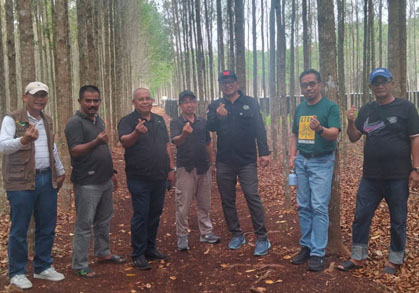 Kadin Riau Sandingkan Pengusaha Porang dengan Budidaya Geronggang di Bengkalis 