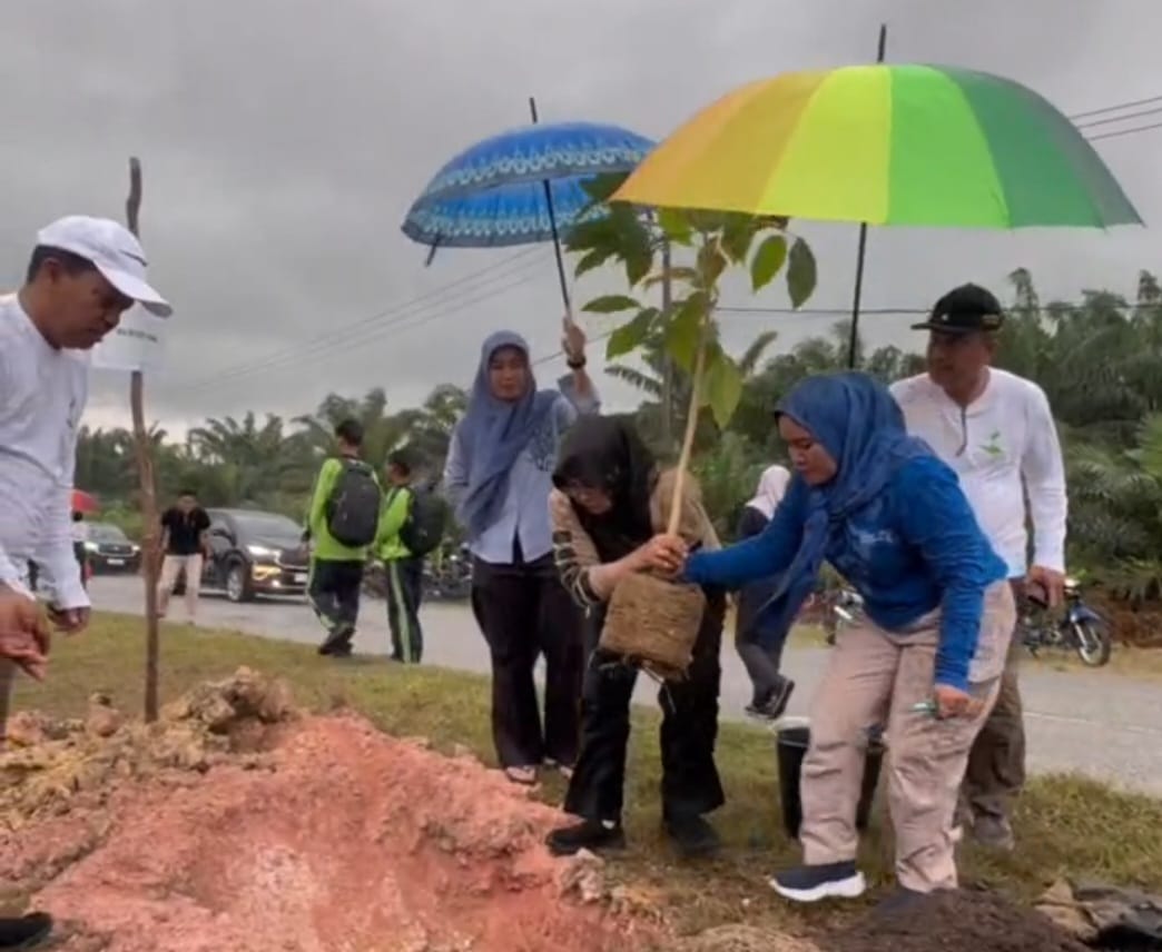 5.050 Pohon Ditanam di Ruas Jalan Siak-Dayun Sepanjang 15 Kilometer