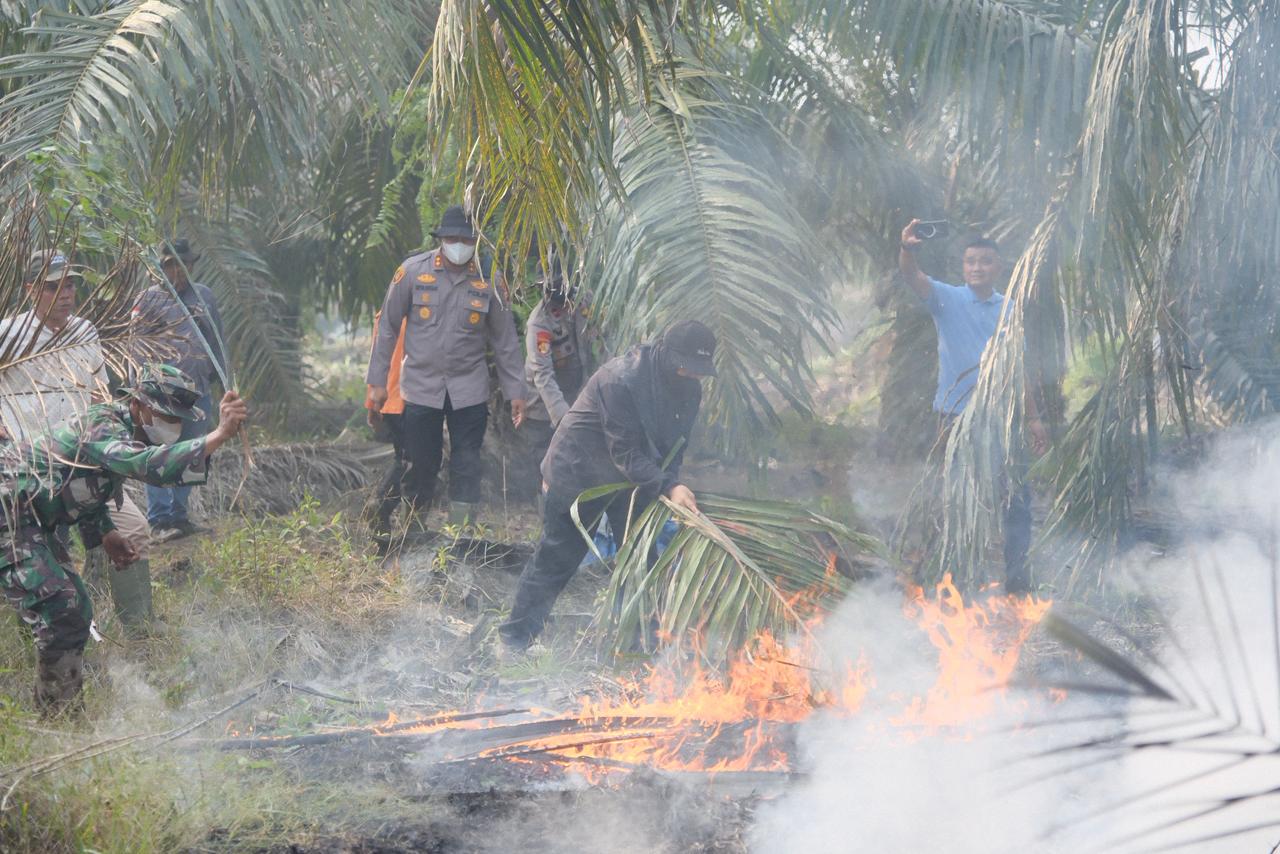 Turun ke Gambut Cagar Biosfer, Bupati Afni Padamkan Bara Api dengan Pelepah Sawit
