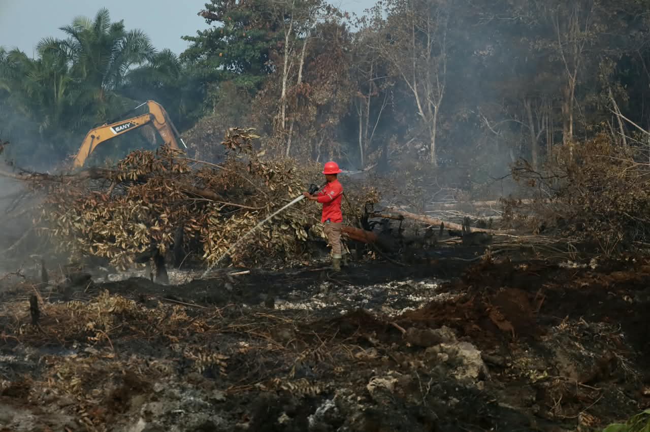 Update Karhutla Riau, Luas Lahan Terbakar Capai 18.770 Hektare