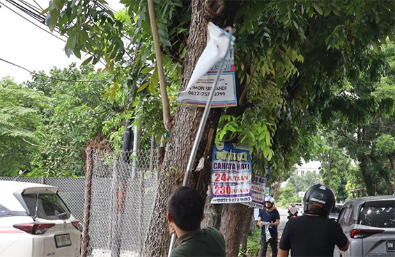 Ganggu Estetika Kota, Bapenda Pekanbaru Tertibkan Iklan yang Dipasang di Pohon