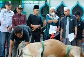 Bupati Meranti Serahkan Hewan Kurban dari Presiden Prabowo