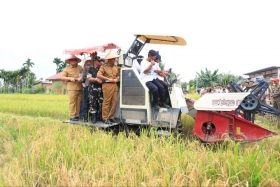 Wamentan Sudaryono Panen Padi di Kampar, Tegaskan Komitmen Swasembada Pangan Presiden Prabowo  