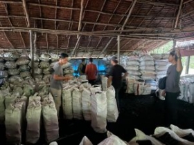 Dari Hutan Lindung ke Pasar Gelap: 100 Ton Arang Mangrove Disita Polisi