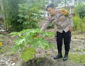 Bhabinkamtibmas Kota Tinggi Ajak Warga Sulap Pekarangan Jadi Lahan Produktif