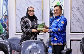 Bupati Asmar Minta DPR RI Carikan Solusi Penutupan Panglong Arang di Meranti