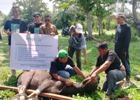 Masjid Baitul Naim Sembelih Tiga Sapi dan Satu Kambing 