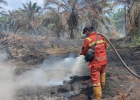 Karhutla Mulai Mengintai, Pekanbaru Tetapkan Status Siaga hingga November