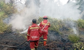 Tim Manggala Agni Lakukan Pendinginan Lanjutan Karhutla di Dua Wilayah Riau