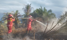 Manggala Agni Hadapi Tiga Karakter Berbeda Karhutla di Siak, Rohil, dan Pelalawan