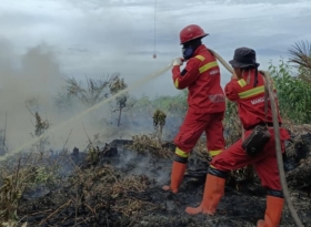 11 Daerah di Riau Tetapkan Siaga Darurat Karhutla, Hanya Kuansing yang Belum 