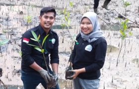 Kelompok Konservasi Mangrove Sungai Merambai Terus Berjuang Menjaga Pesisir Teluk Belitung