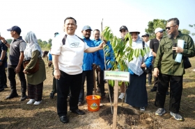 Hari Jadi ke-69 Riau, Pemprov Akan Tanam 1.000 Pohon di Stadion Utama