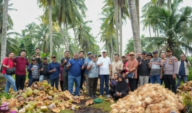 Wabup Muzamil Bersama Delegasi Grisek Jaya Sdn. Bhd Tinjau Potensi Kelapa di Kecamatan Rangsang