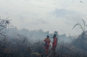 Karhutla di Dua Titik Rengat Mulai Terkendali, Tim Gabungan Lanjutkan Pendinginan