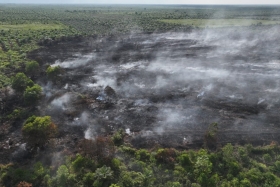 Kebakaran Lahan Gambut di Rohil Terkendali, Tim Gabungan Lanjutkan Pendinginan untuk Cegah Api Kembali