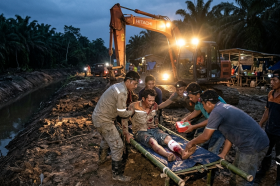 Kapolsek Sungai Apit Beberkan Kronologi Serangan Harimau terhadap Pekerja di Teluk Lanus
