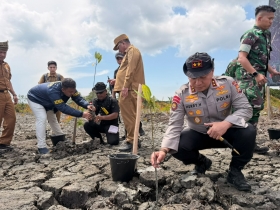 Polda Riau Pulihkan 118 Hektare Hutan Mangrove di Rokan Hilir