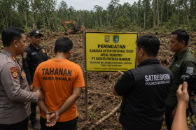 Polres Bengkalis Tetapkan Tersangka Perambahan Hutan Produksi Tetap di Konsesi PT SPM