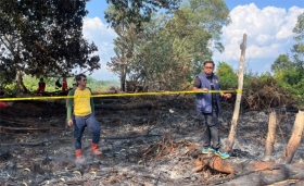 Bakar Lahan untuk Buka Kebun Sawit, Pria di Pelalawan Ditangkap Polisi