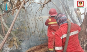 Manggala Agni Tempuh 3 Km Angkut Peralatan ke Lokasi Karhutla Sungai Guntung Hilir