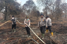 Karhutla 30 Hektare di Dayun Siak Berhasil Dipadamkan, Tim Gabungan Tetap Patroli