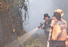 Sempat Padam, Karhutla Sungai Beringin Tembilahan Kembali Muncul