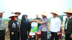 Pemko Pekanbaru Dorong Lahan Tak Produktif Jadi Lahan Pertanian